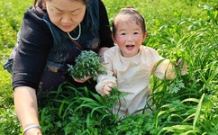 益日韩欧群交P片内射中文